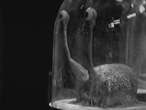 Psychic alien slug thing in a jar.